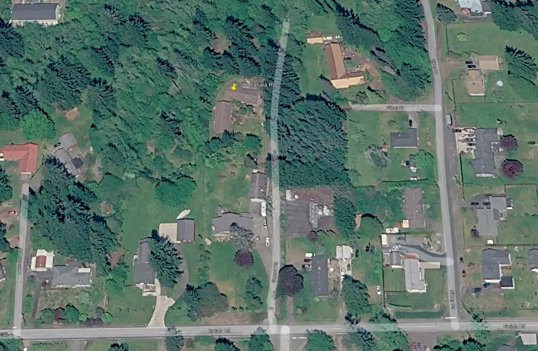 Aerial view showing the duplex set among tall evergreens in Central Park, just outside Aberdeen city limits.